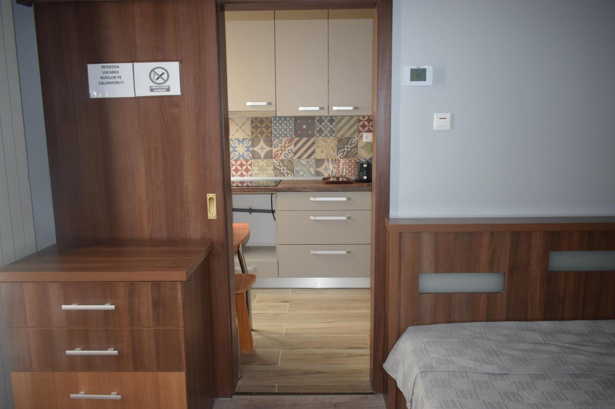 Apartament Nicolae Iorga Rhbm Nagybánya Kültér fotó