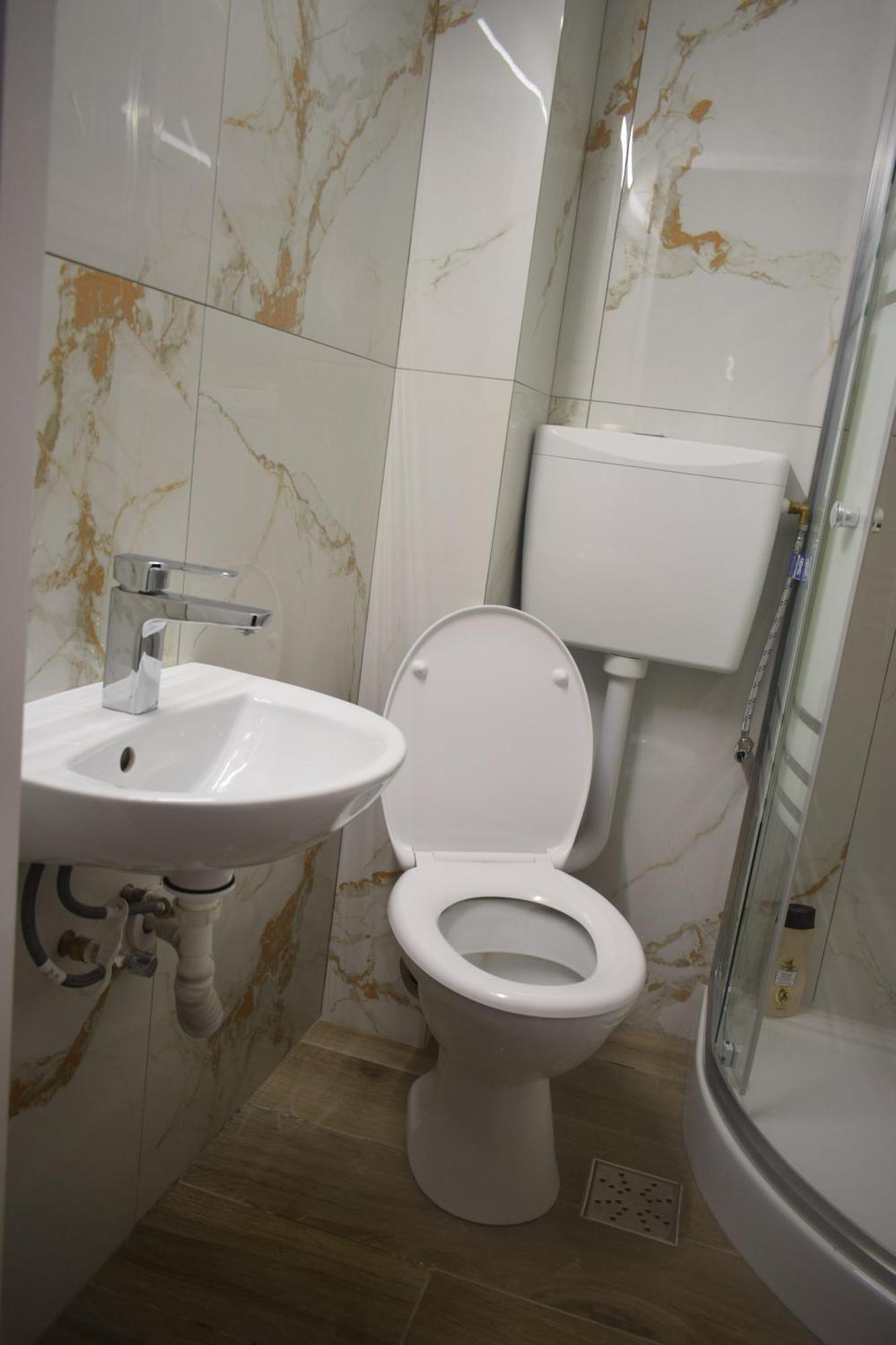 Apartament Nicolae Iorga Rhbm Nagybánya Kültér fotó